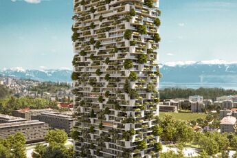 Les constructions végétalisées, plus durables ?