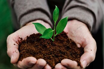 Biochar et béton circulaire : les nouveaux piliers de l’immobilier durable ?