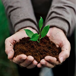 Biochar et béton circulaire : les nouveaux piliers de l’immobilier durable ?