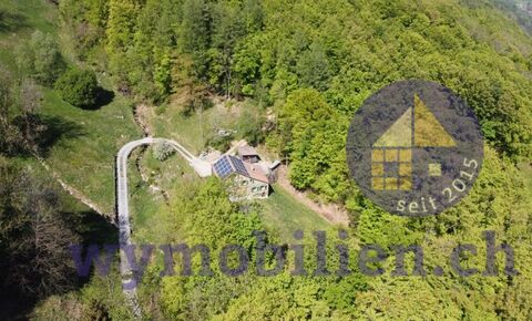 Bijou umgeben von Wiese und Bach