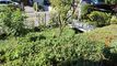 Appartement CH-3600 Thun