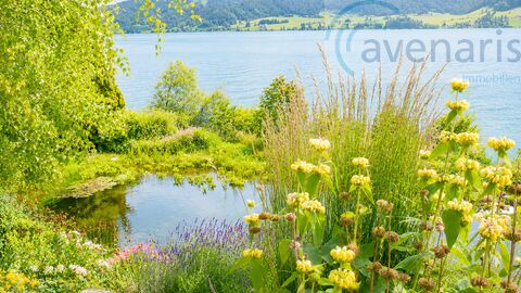 Your dream home with panoramic views on Lake Sihl