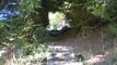 Vendu ! Splendide chalet authentique dans cadre bucolique