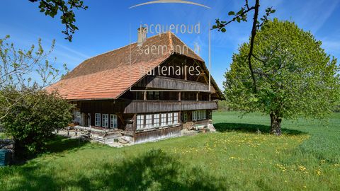 Historisches denkmalgeschütztes Bauernhaus in Lanzenhäusern