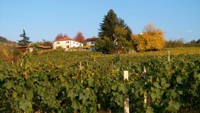 Renoviertes Landhaus aus dem 18. Jh IT-14059 San Giorgio Scarampi