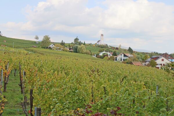 Einmalige Aussicht von der Terrasse zur Bergkirche
