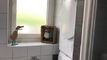 For rent - Magnificent 3.5 room apartment on the 2nd floor