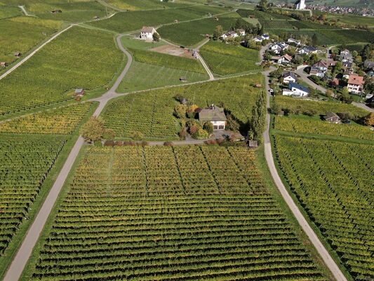 Exquisite Alleinlage mitten im Weinberg