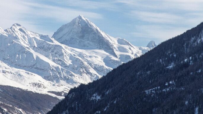 Premier coup d'oeil