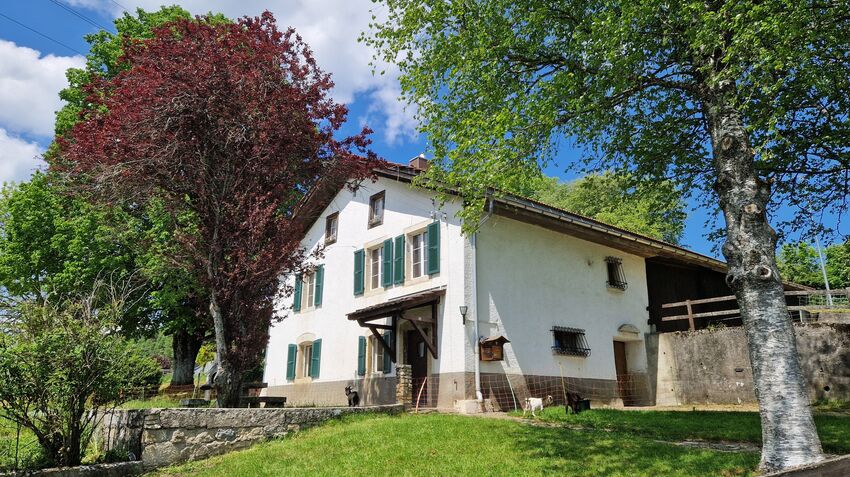 Single family house