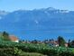 Vue - vignes - bourg - lac et montagnes