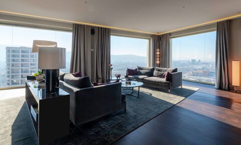 Exclusive oasis over the roofs of Zurich