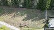 Land CH-1997 Haute-Nendaz