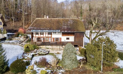 NICHT MEHR IM NETZ - 4.5 Zi.- Einfamilienhaus mit viel Umschwung