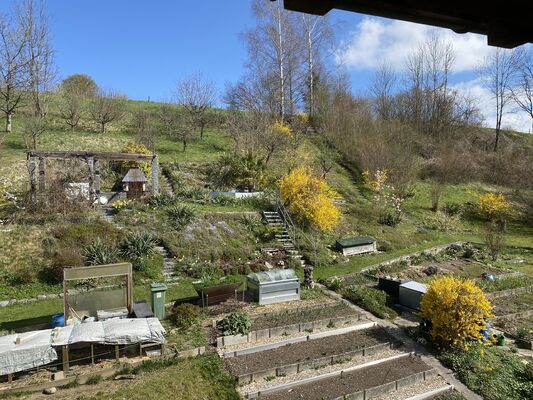 Aussicht auf Garten