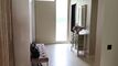 Maison mitoyenne CH-8604 Volketswil