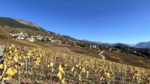 Wohnung CH-1965 Savièse