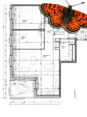 Plan C-32