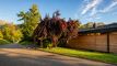 Chalet CH-1882 Gryon