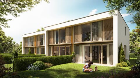NOUVELLE PROMOTION A THÔNEX : " CLEOMES 24"