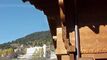 Très beau chalet de 5 ½ pièces + appartement 2 ½ indépendant