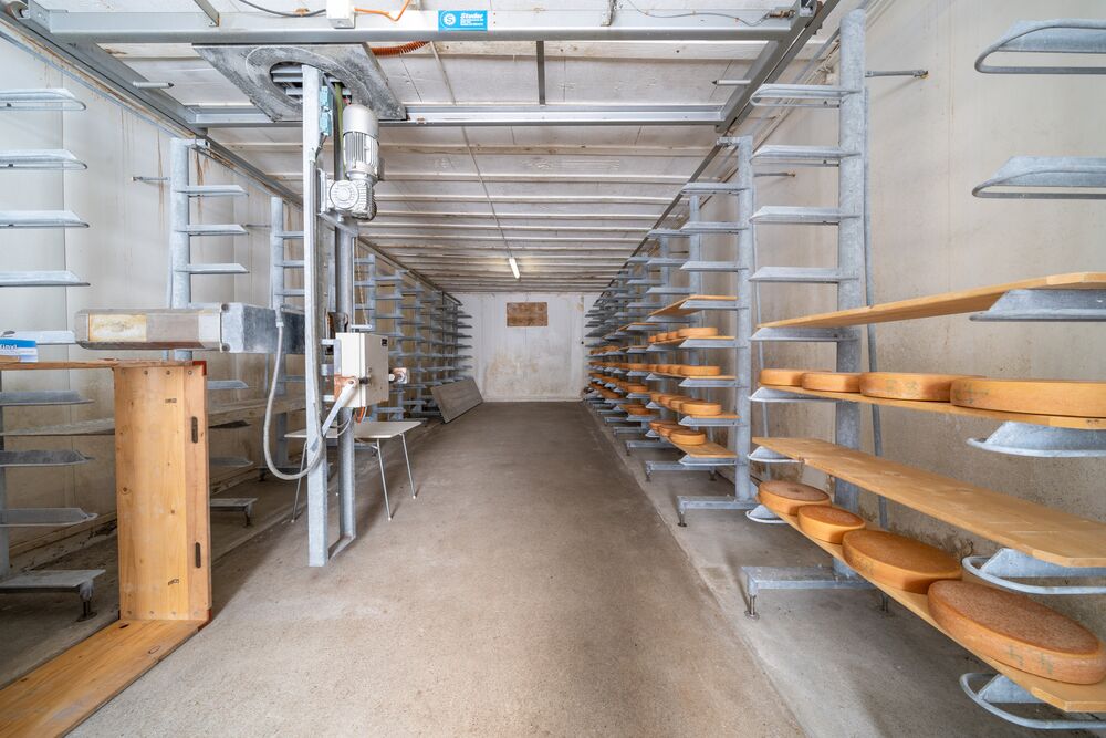 Wohnen und Arbeiten mit Potenzial