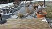 Chalet CH-1884 Villars-sur-Ollon