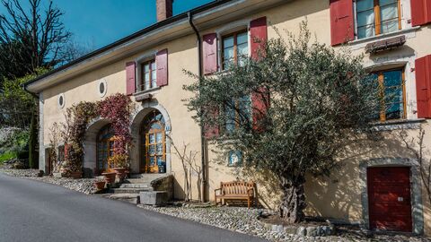 Superb historic house with charm