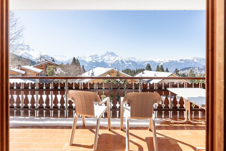 Image for Bouquetin 5