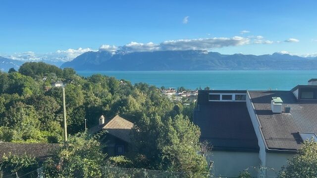 A louer appartement dans villa individuelle avec terrasse arborisée.