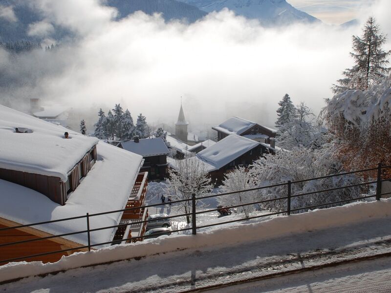 Nice studio for rent