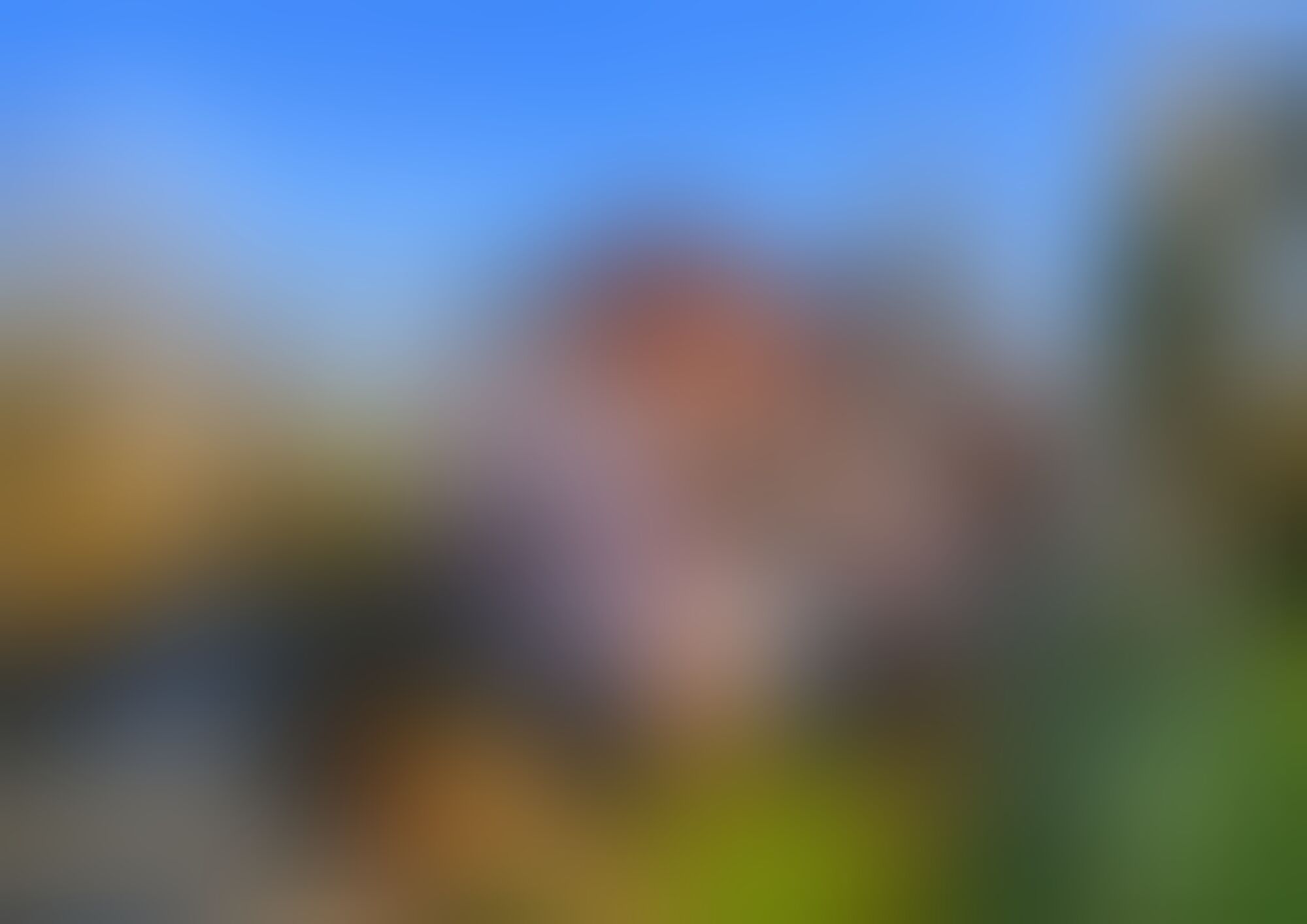 A blurred image