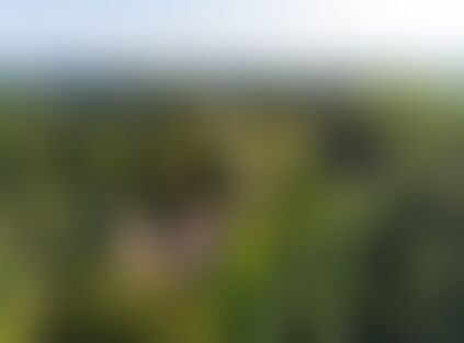 A blurred image