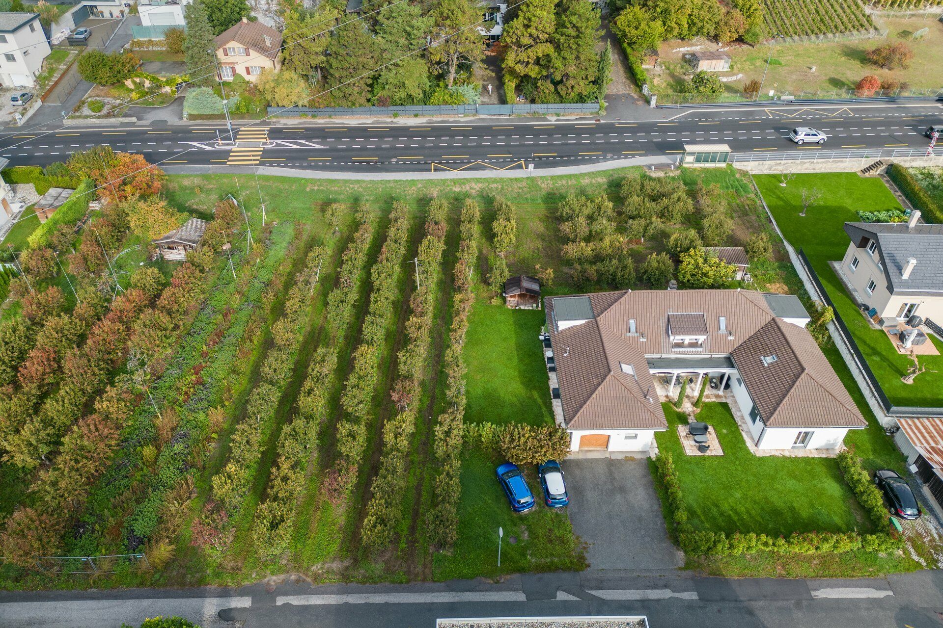 Whole property