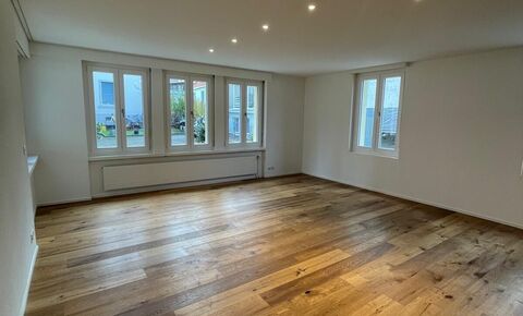 Sehr grosse und frisch renovierte 2.5 Zimmer Wohnung