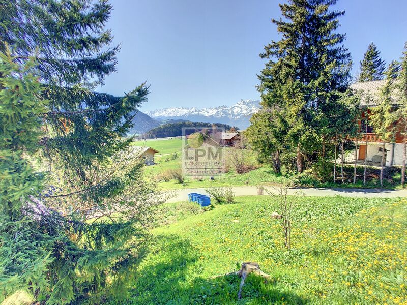 Bifamiliar house CH-1854 Leysin