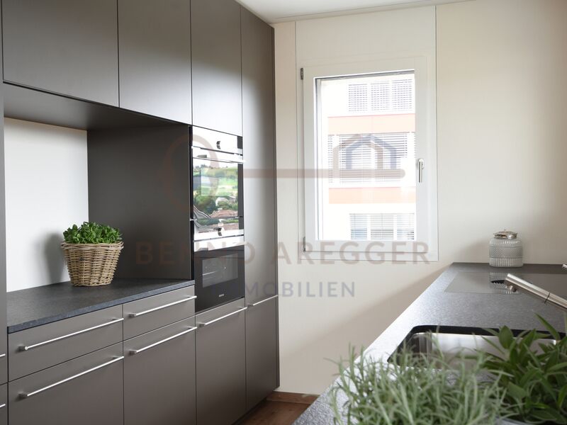 Neuwertige 2½-Zi-Wohnung, grosse Terrasse, Bergsicht