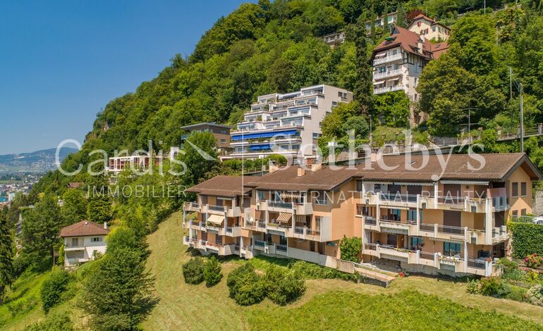 Votre balcon sur le Léman !
