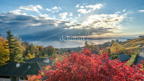 Single family house CH-1092 Belmont-sur-Lausanne