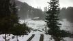 Vendu : Chalet rustique en plein coeur de la nature aux Mosses