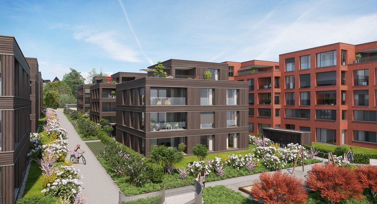 Projekt  Schmid Immobilien AG