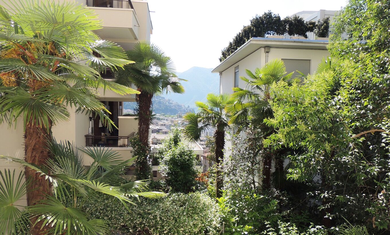 Studio in the Residenza Parco Maraini