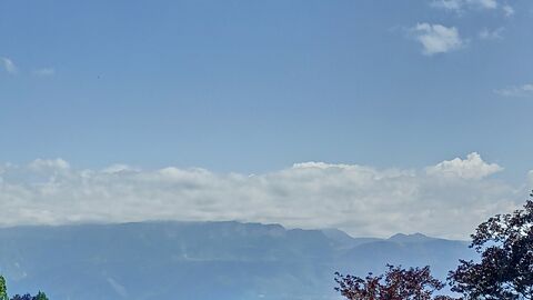 Condominium apartment CH-1012 Lausanne