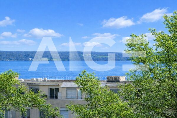 6 rooms lake view in Versoix