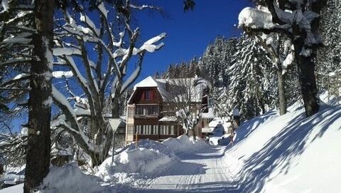 Vendu : Splendide appartement rez-de-jardin à Leysin