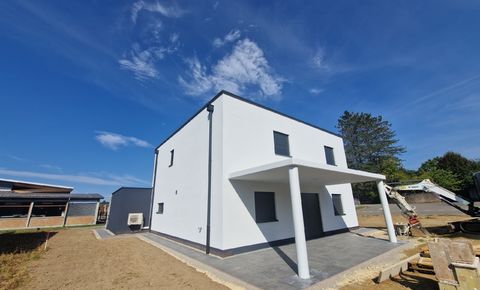 Detached house - completed construction