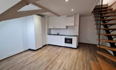 Magnifique duplex 2.5 pièces - 57 m2