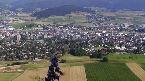 SPECIAL INVESTISSEUR - TERRAIN A BATIR/ IMMEUBLES HABITATION