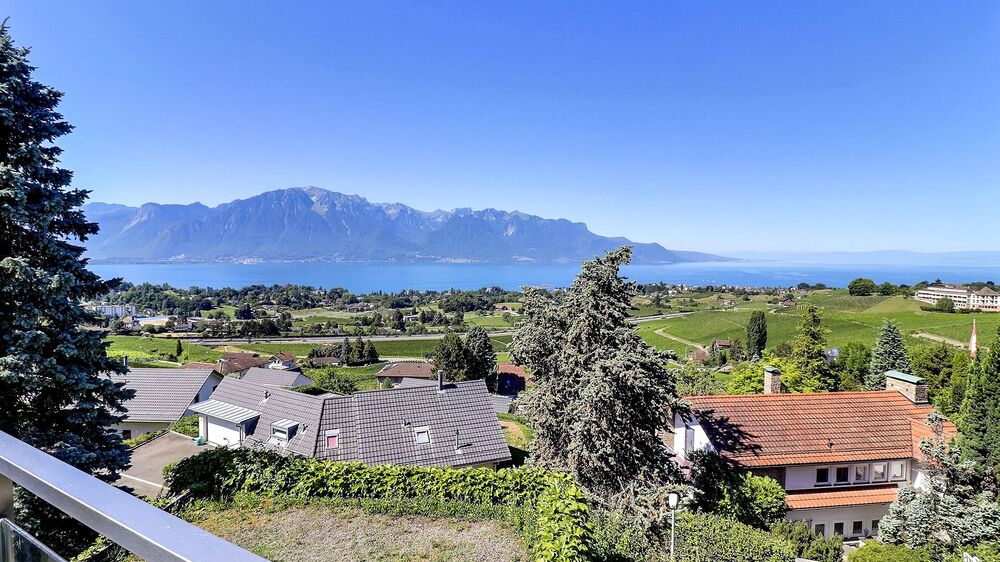 Riviera Properties Real estate agency Vevey Montreux