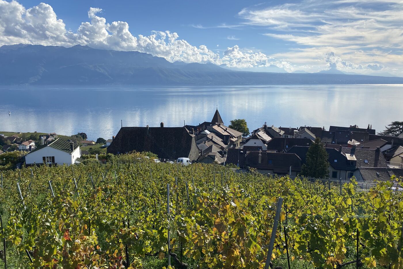 Magnifique bâtisse au cœur de Lavaux